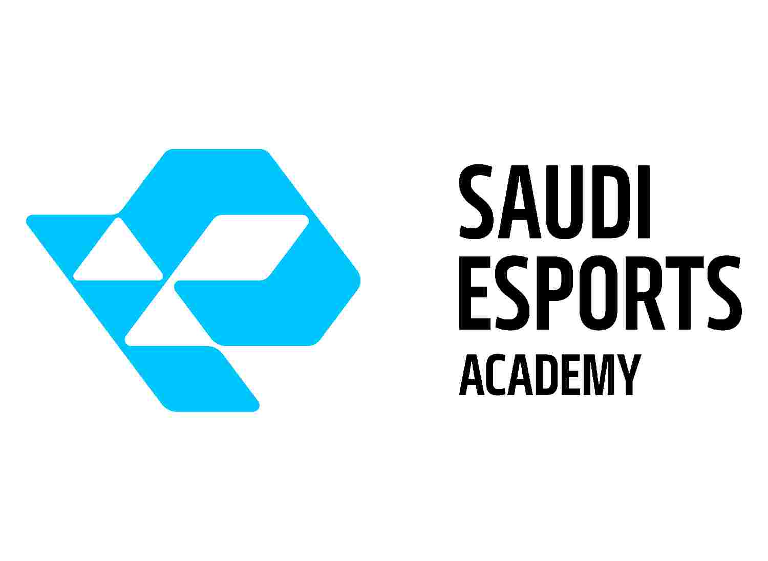 SEFAcademy_6463